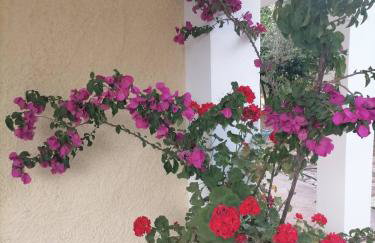 Studio P & P Polylimnio Waterfalls - Foto 29