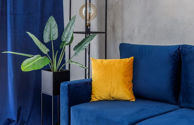 Rozana Zieleniewo Apartment by Renters - Photo 22