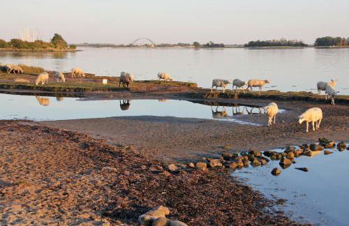 Fischerhaus Lemkenhafen - Foto 25