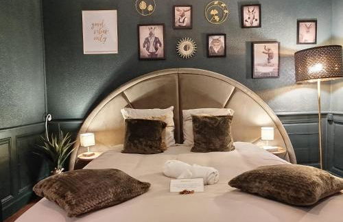 Nancy Vieille ville Stanislas - Foto 41