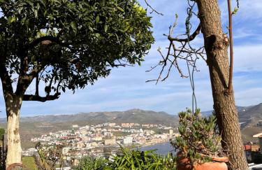 Casa de Sergude - Foto 21