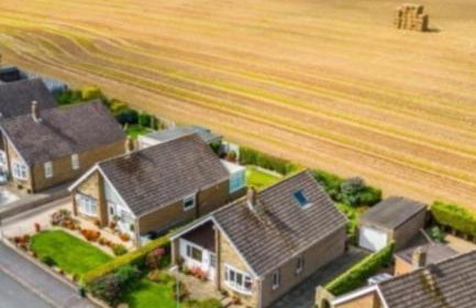 Shirley's Place - Foto 14