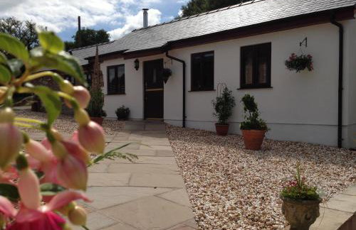 Glan Llyn Farm House - Foto 31