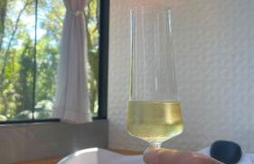 Loft com Hidro e Lareira em Gramado - Photo 21