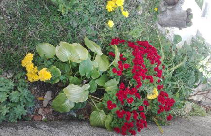 Apartment Cvjetna - Foto 43