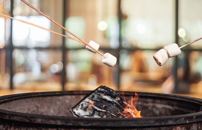 Excursión al Lago Louise - Foto 8