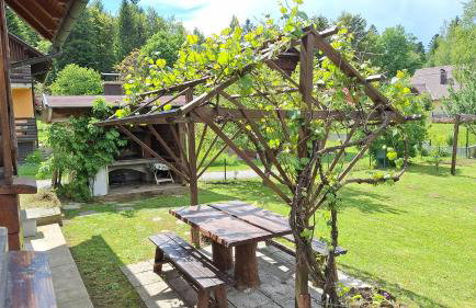 Kuća za odmor Family Fužine - Foto 15