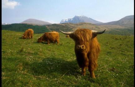 Apartment 101 Kingsmills Road - Foto 31