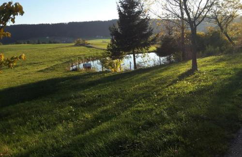 Cosy Holiday Home in Mahlberg in the Ortenau District in Baden-württemberg - Foto 70