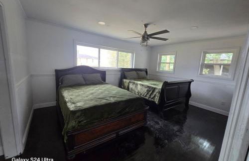 Bayou Phoneix - Foto 4