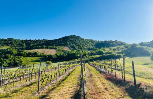 Ferienwohnung "Im Weidengarten" - Foto 17
