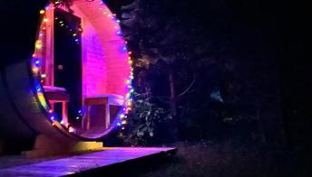 Domki w brzozach - Foto 2