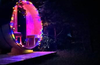 Domki w brzozach - Foto 2