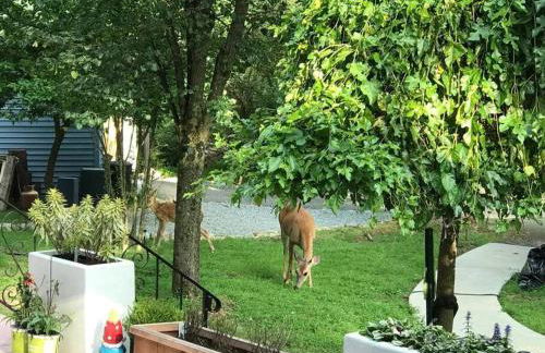 3 Acre Lake Paradise Swimming Pool & Jacuzzi HotTub! - Foto 42