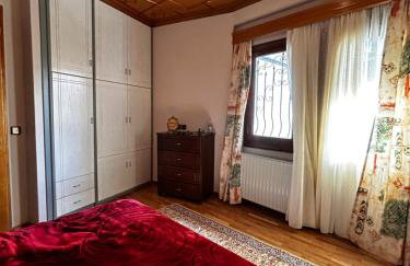 MetsoVillas στο κέντρο του Μετσόβου - Photo 12