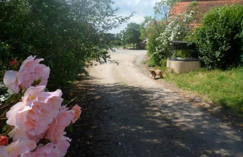 Gîte champêtre avec piscine et Wifi à Souvigny - FR-1-489-231 - Foto 21