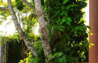 Casas aconchegantes com piscina na encantadora Praia das Cigarras - Foto 43