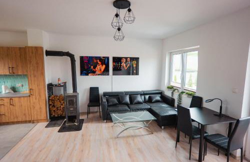 Beskid Penthouse Milówka - Photo 50