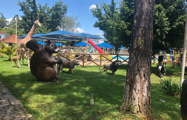 Hotel Fazenda Pé da Serra - Photo 28