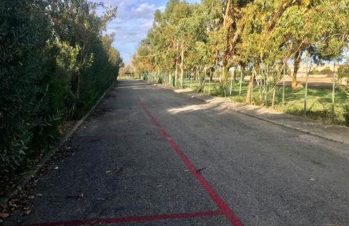 Case Vacanze a Rossano - Foto 26