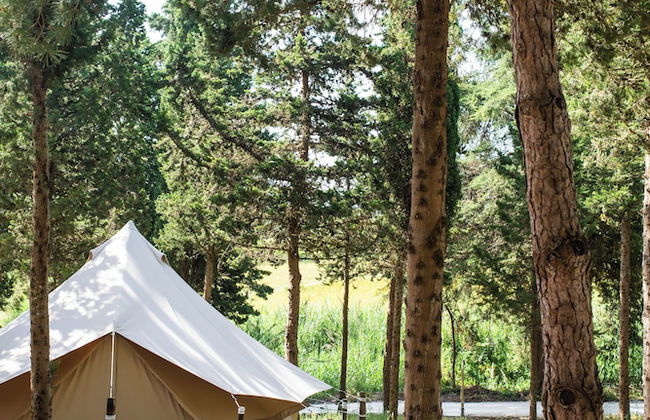 DOMA Portugal - Foto 12