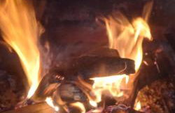 Domki Brzozówka w Bieszczadach - Foto 50