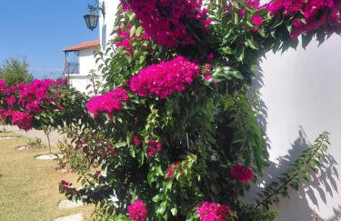 Vista Mare - Foto 5