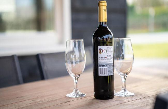 Holiday Home in Scherpenisse With Sauna - Photo 32