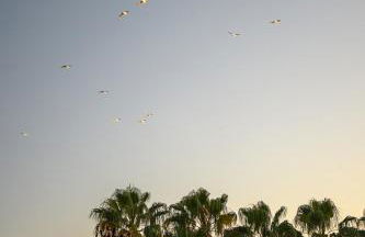 La Fenêtre sur Mer - Superbe Vue Sur Le Port - Foto 7