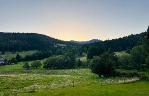 Schwarzwald Loft Panoramablick Menzenschwand - Foto 42