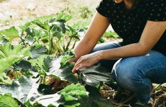 Agriturismo Vallerana - Foto 12