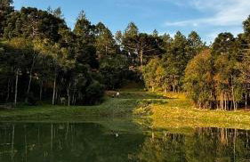 Refugio do Capivari - Foto 14