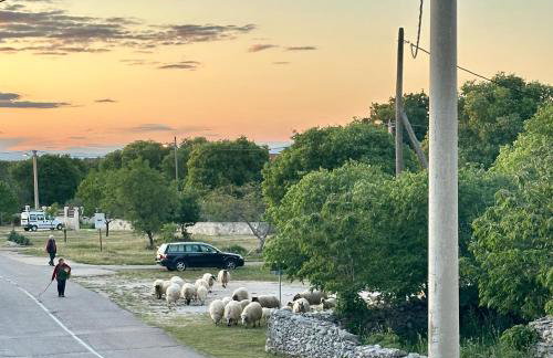 Apartments Brkić, Lozovac Krka NP with Pool - Foto 10