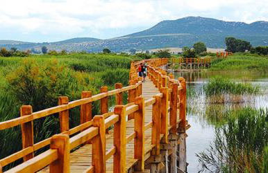 Villa Bubica- cozy holiday home in rural area with pool - Photo 48