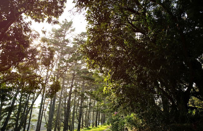 Spaciousviewsbalcony2-bedroomsen-suitenetflix - Foto 56