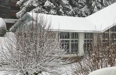 Nid douillet avec balcon et vue montagne Mt Dore - Foto 23