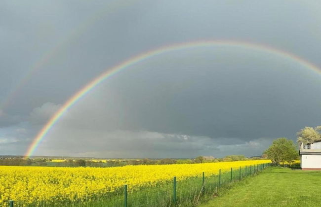 Idyllic Holiday Home in Damshagen With Terrace - Foto 71