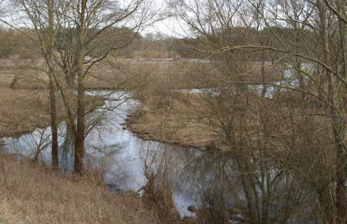 Ferienhäuser Pannier I und oder II - Foto 29