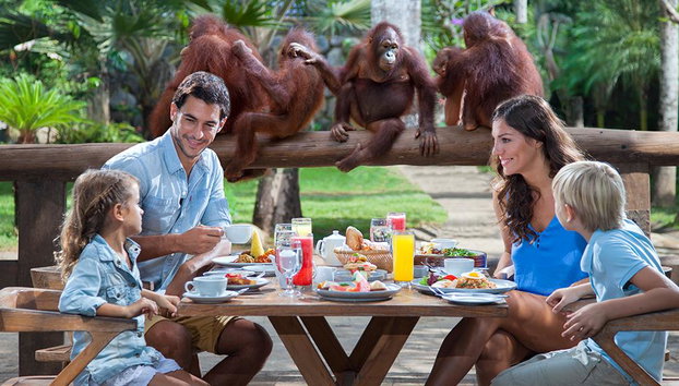 Visite au Zoo de Bali et petit-déjeuner avec les orangs-outans - Photo 3