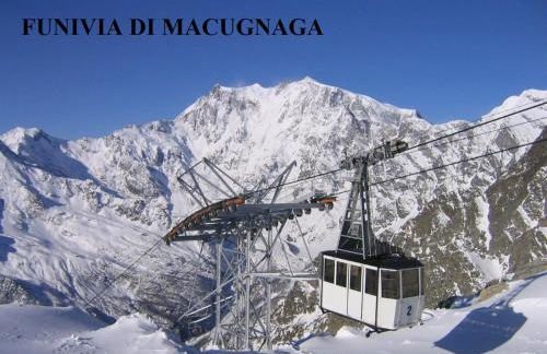 Cats & Breakfast - Foto 29