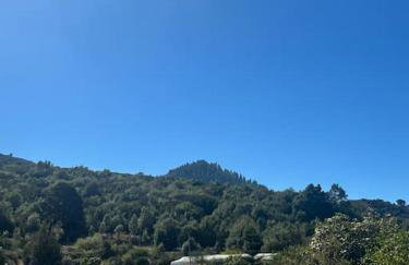 Nature life - Foto 11