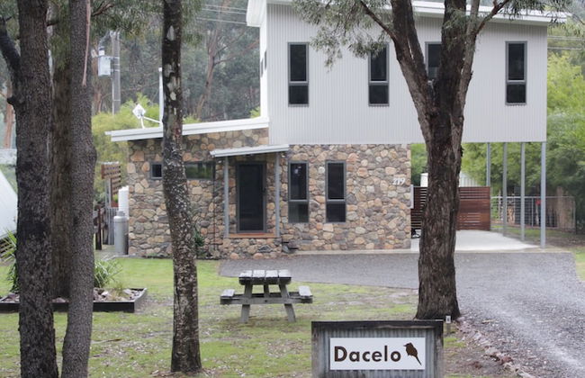 Dacelo - Photo 15