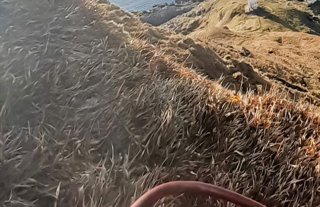 7 Person Holiday Home in Fiska - Foto 14