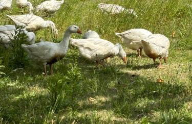 Apartamenty nad morzem Przy klifie 3 Dębina - Foto 70