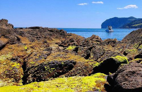 Central Park - Foto 23