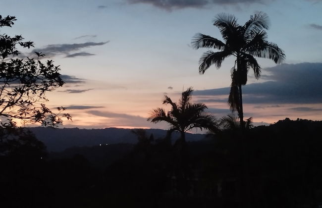 Bhakti Coffee Farm - Foto 17