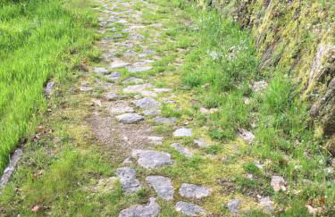 Casa do Volfrâmio - Foto 42