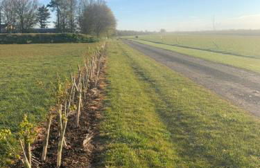 Elm Cottage at Gravel Farm - Photo 25