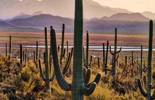 Tucson The Greens! 3br APT w/ Pool & Spa - Foto 26