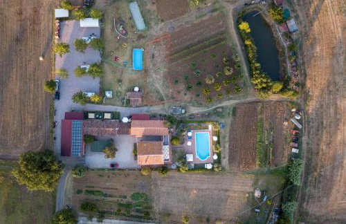 Agriturismo Consalvi - Foto 12